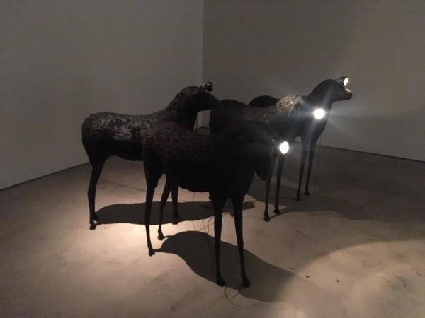 27140695_1334876389952436_1976454239_o